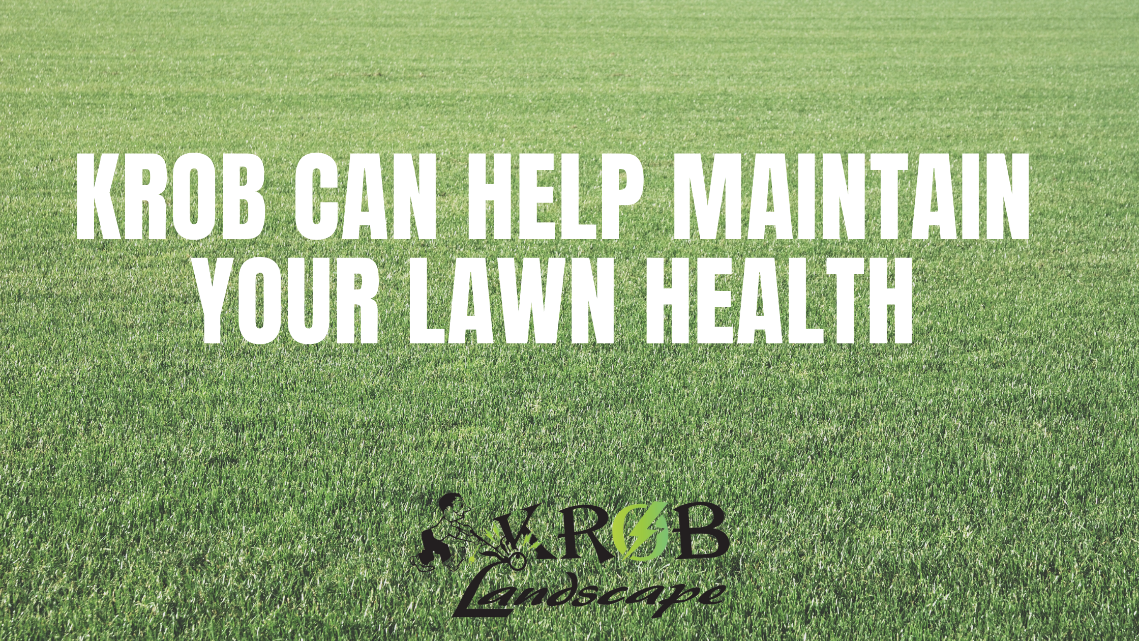 Krob Can Help Maintain Your Lawn Health.png